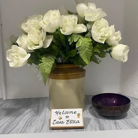 Casa Eliza